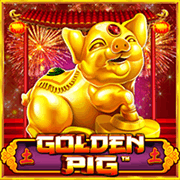 Chú Heo Vàng thumbnail