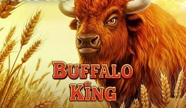 Buffalo King